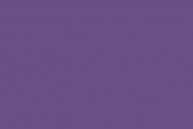 #3358 Engraving Color (Purple Litho) ADDTL Service
