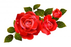 #3278 Engraving Color (Rose Flower Image) Red Litho ADDTL Service